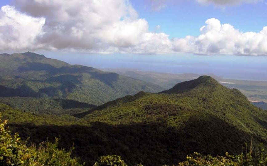 El Toro Wilderness , , Puerto Rico